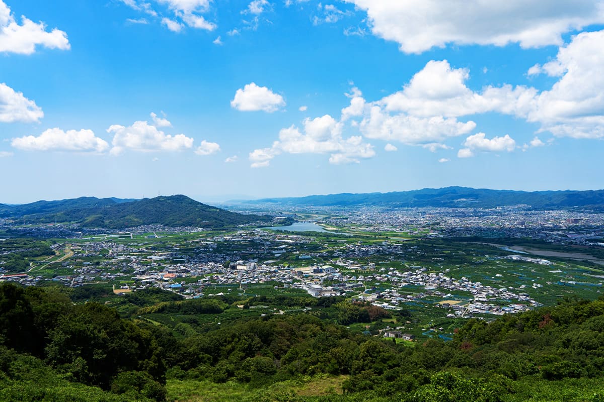 きただ農園 まーくん家の果樹園風景