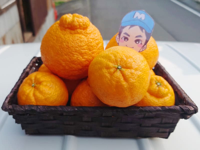 不知火5kg