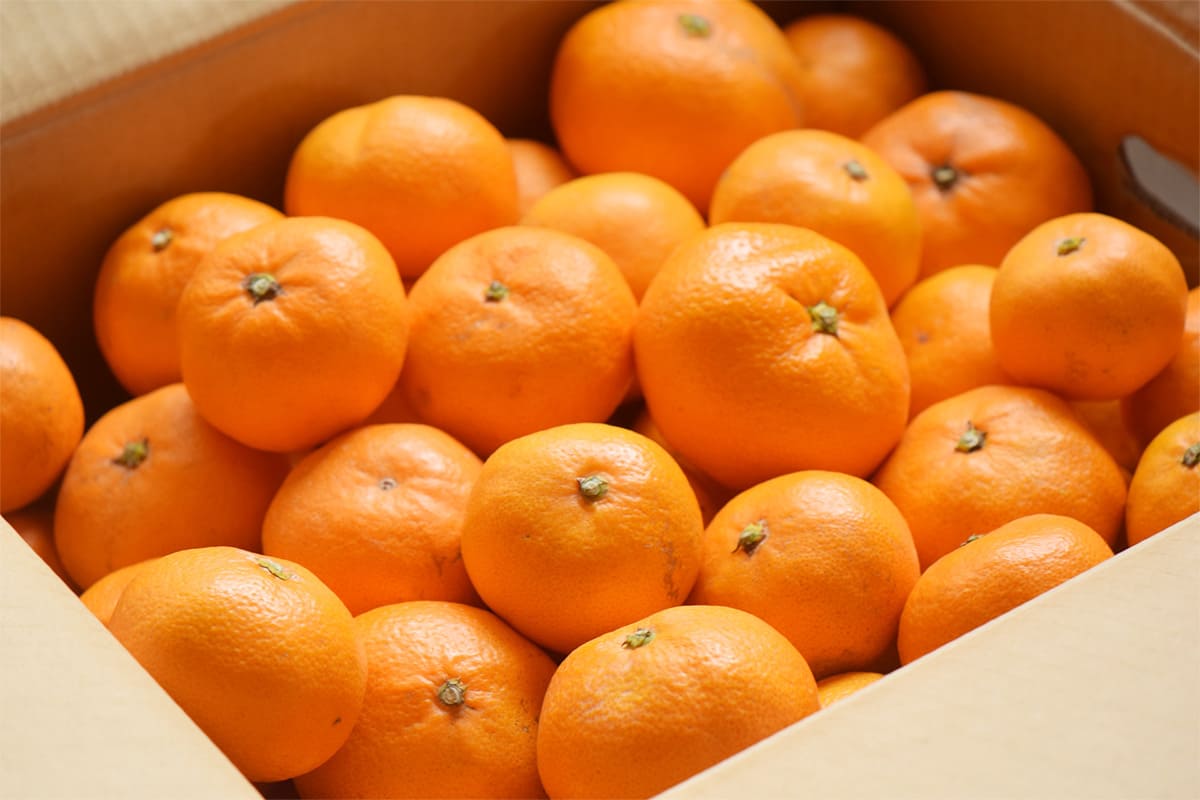 業務用の卸も対応。小ロットからご相談OK