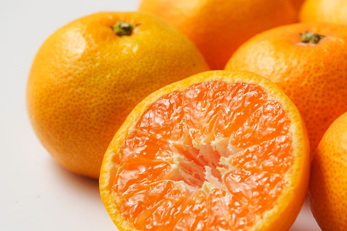 全国発送で、地方の取引先様にもお届け